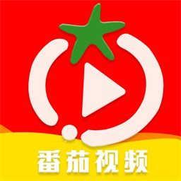 番茄视频下载2026