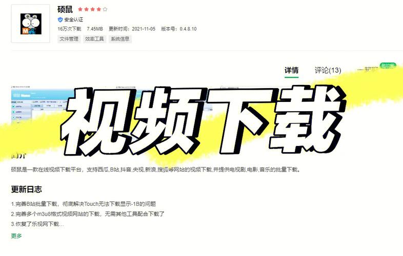 下载哔哩哔哩视频软件2026