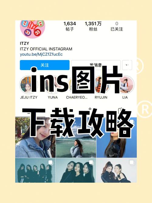 ins软件怎么下载2026