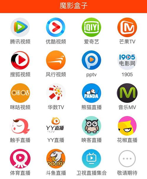 视频分类2026