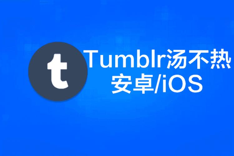 汤不热视频2026