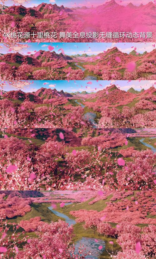 桃花源下载2026