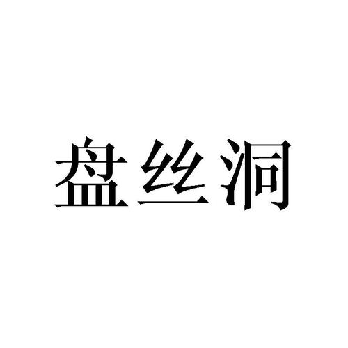 盘丝洞app下载2026