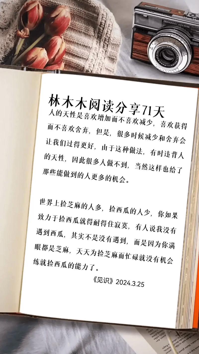 木木下载2026