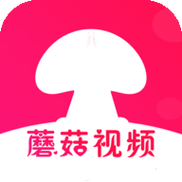 中文在线视频2026