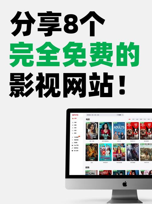 电影下载网站推荐2026