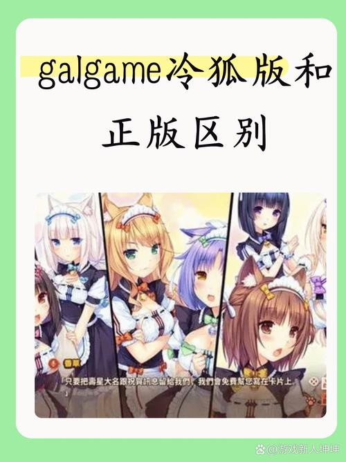 少女领域下载2026