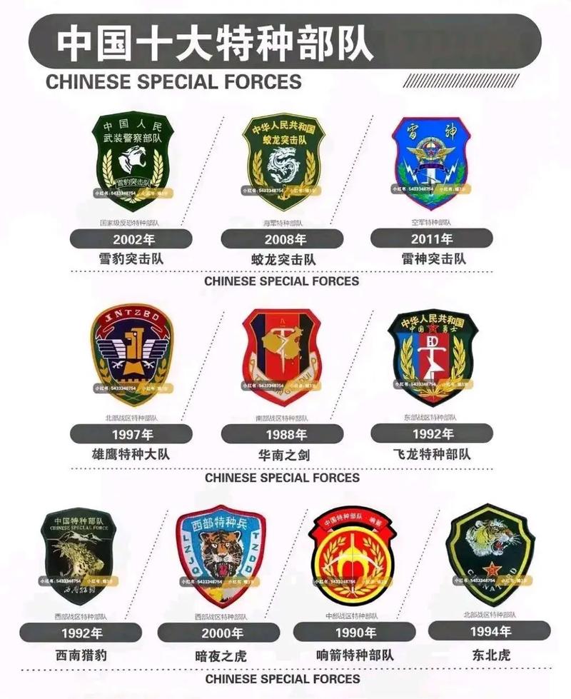 特种部队小组下载2026
