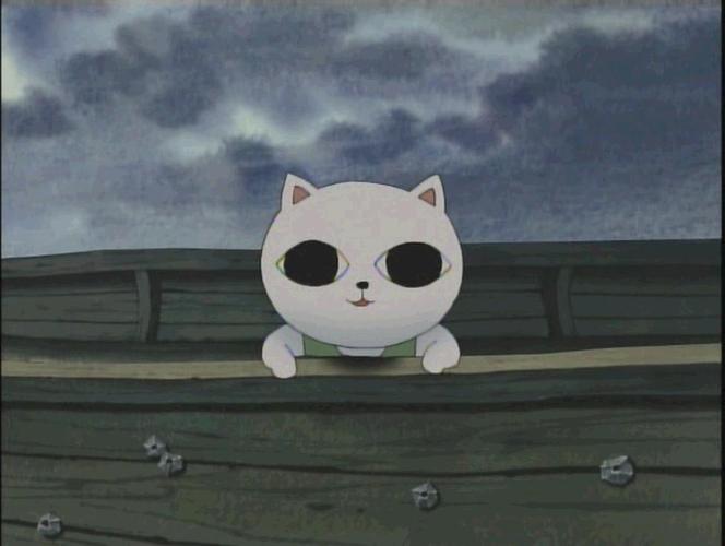 猫汤下载2026