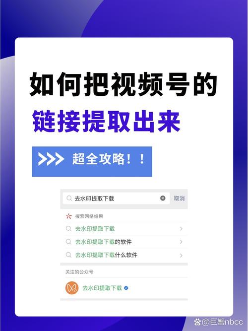 视频下载链接2026