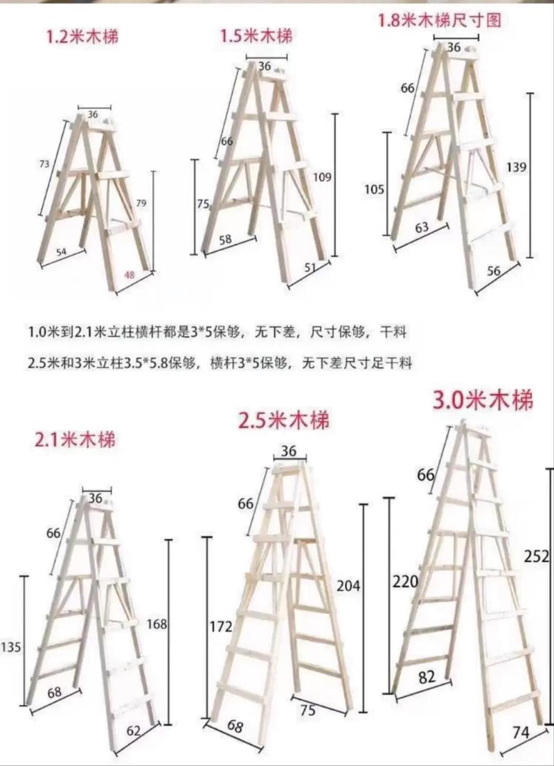 免费梯子下载2026