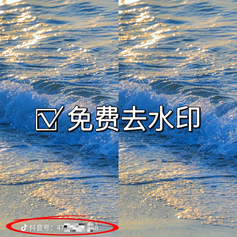 视频去水印下载2026
