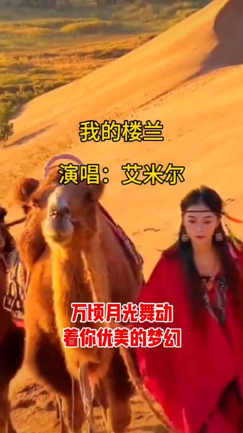 我的楼兰下载2026