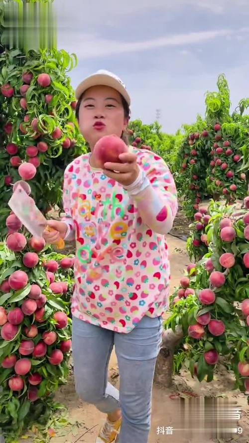水蜜桃直播app下载2026