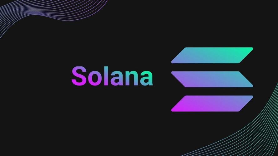 solo下载2026
