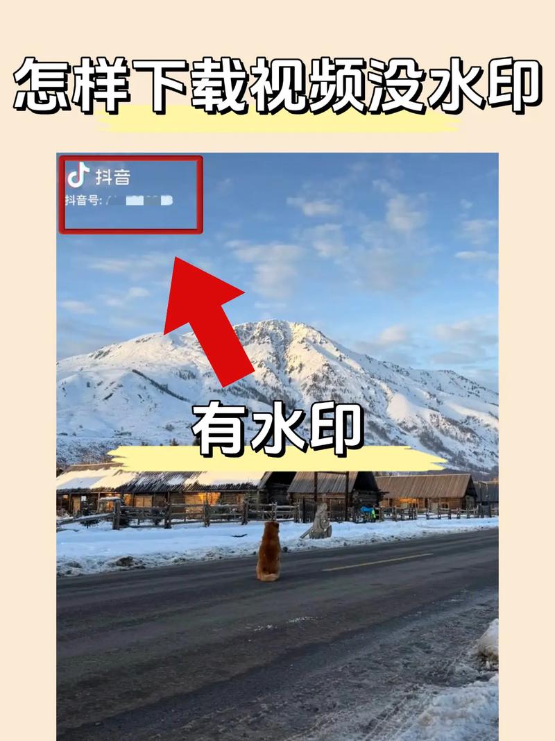 视频广告下载2026