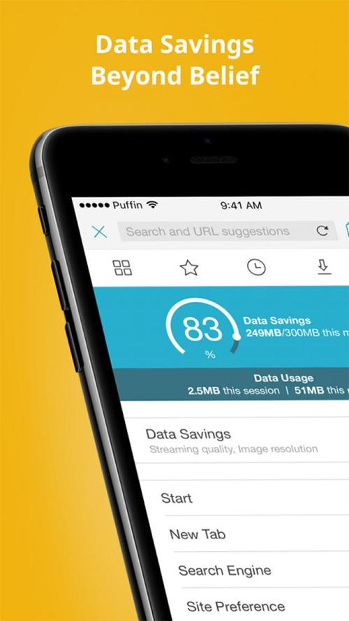 puffin浏览器2026