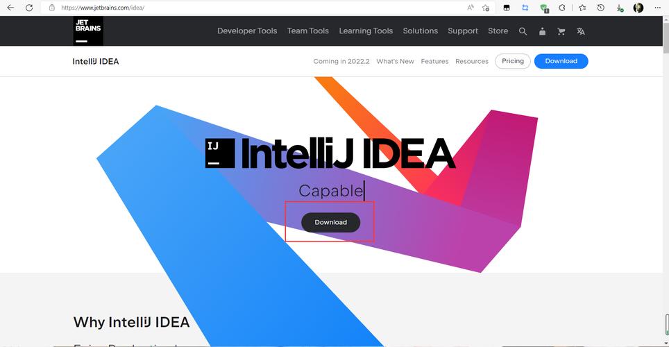 下载idea2026