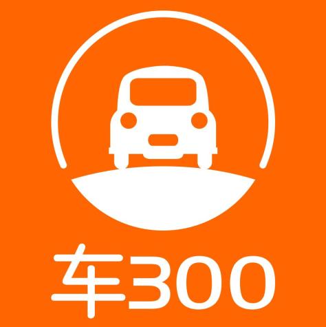 车300专业版下载2026