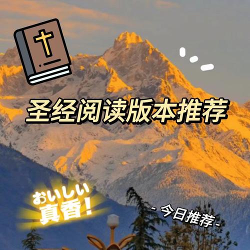 下载《圣经》2026