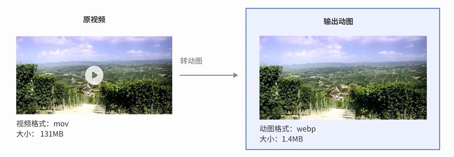 视频转gif2026