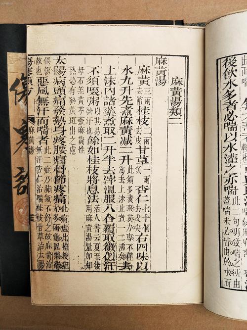 伤寒论 下载2026