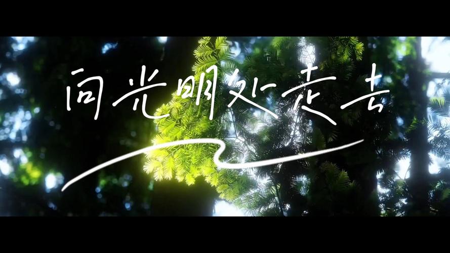 走向光明下载2026