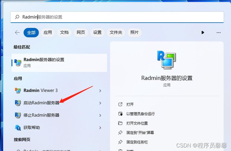 radmin下载2026