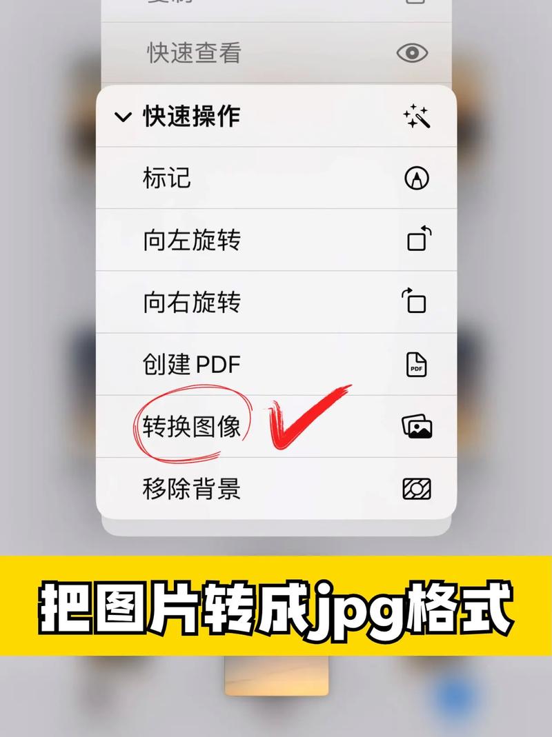 jpg格式软件下载2026