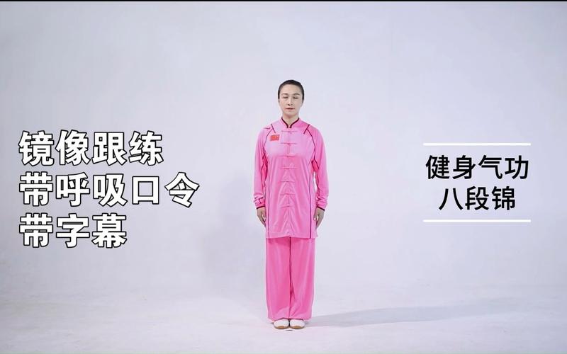 八段锦视频下载2026