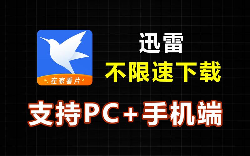 迅雷下载不限速2026
