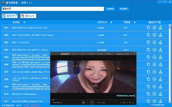 番号搜索器2026