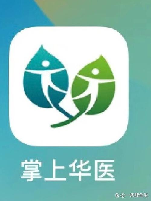掌上华医app下载2026