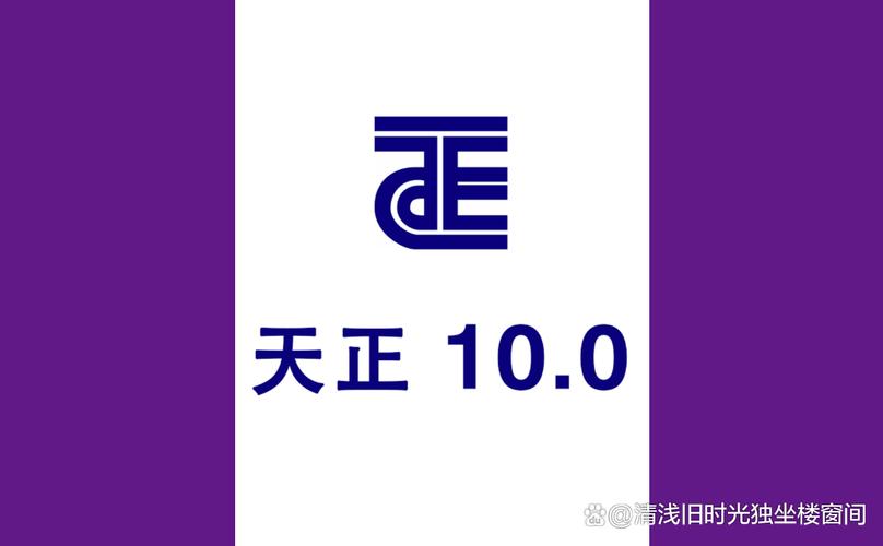 天正t20下载2026