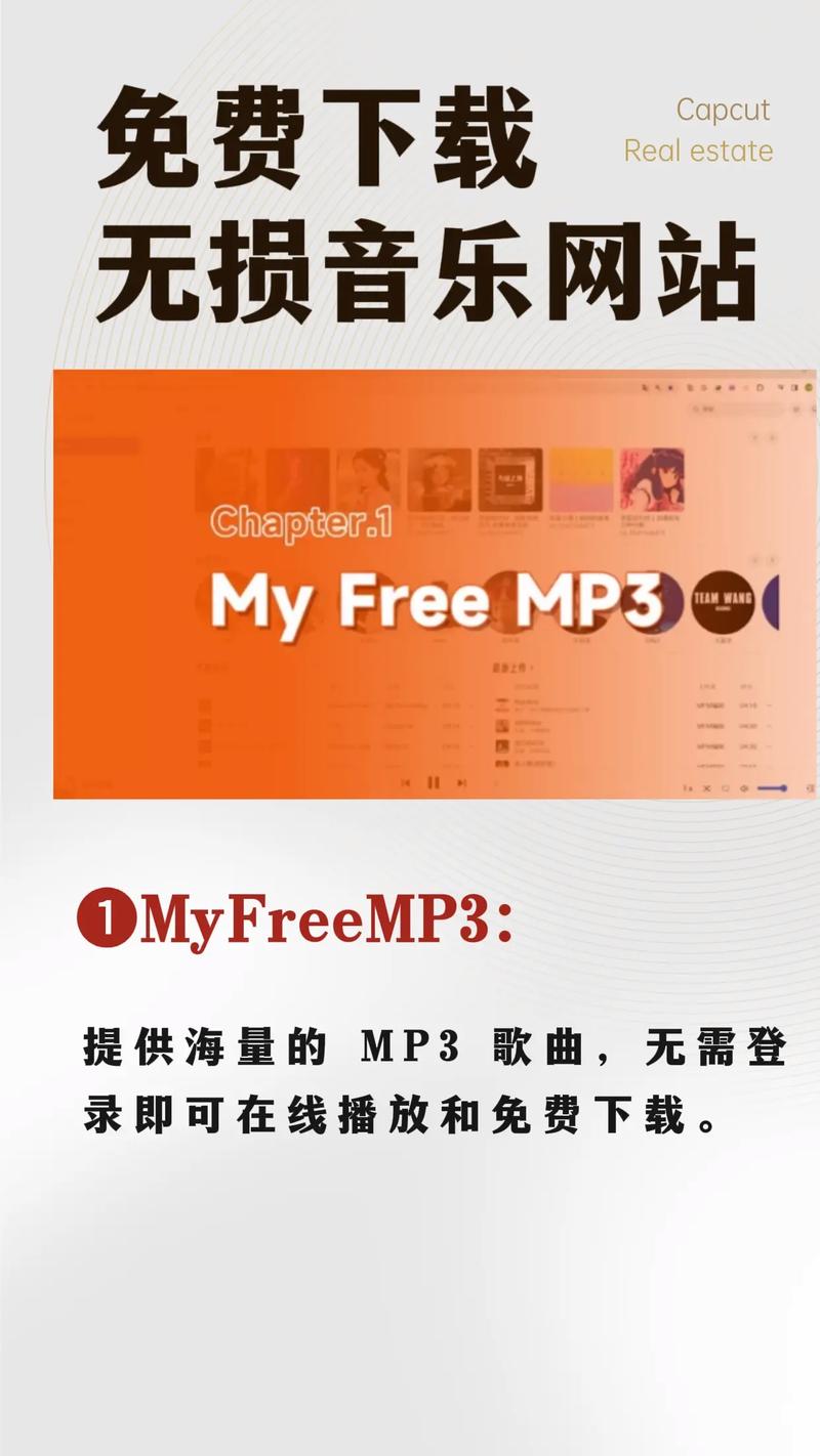 下载音乐的软件2026