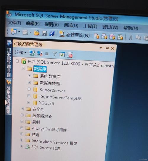 sql2005下载2026
