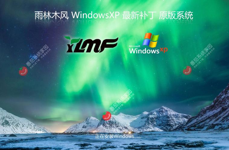 雨林木风系统下载2026