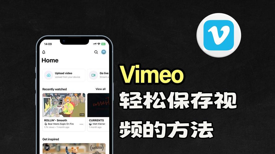 vimeo下载2026