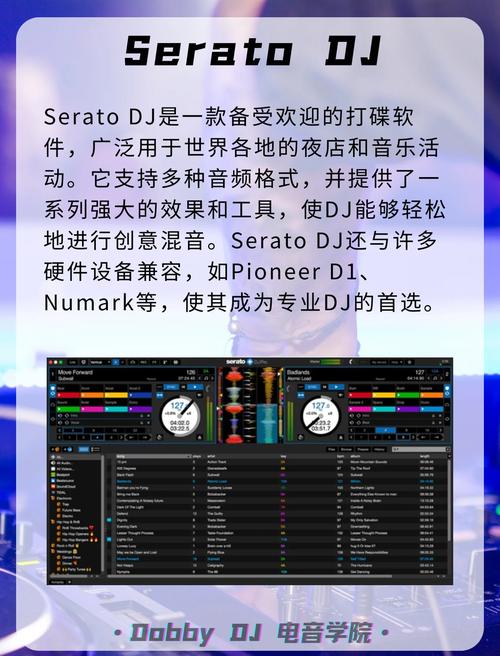 dj版下载2026