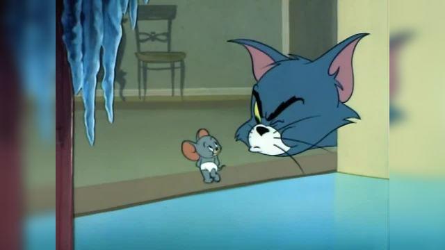 猫和老鼠全集下载2026