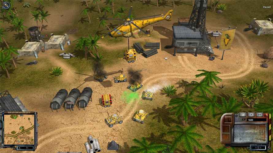 猪兔大战2026