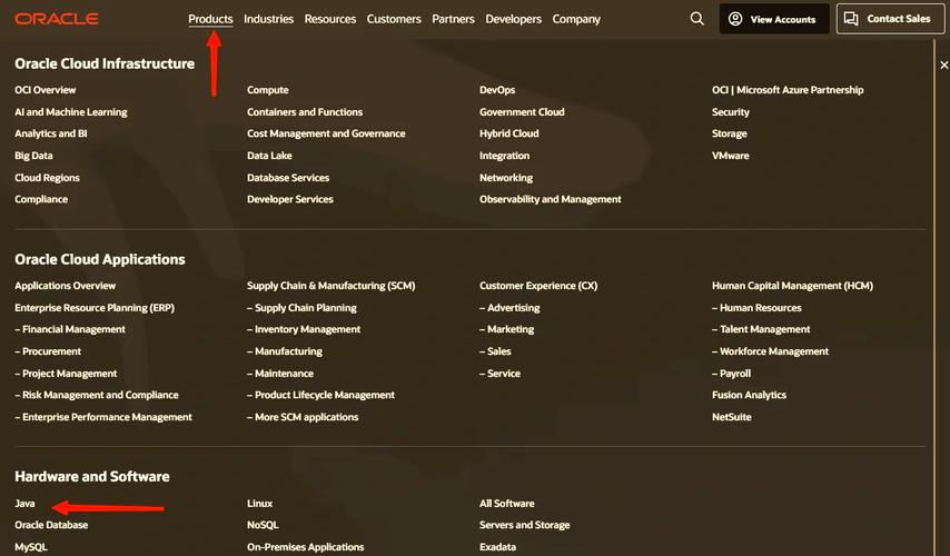 java下载安装教程2026