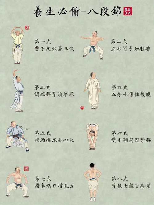 8段锦视频2026