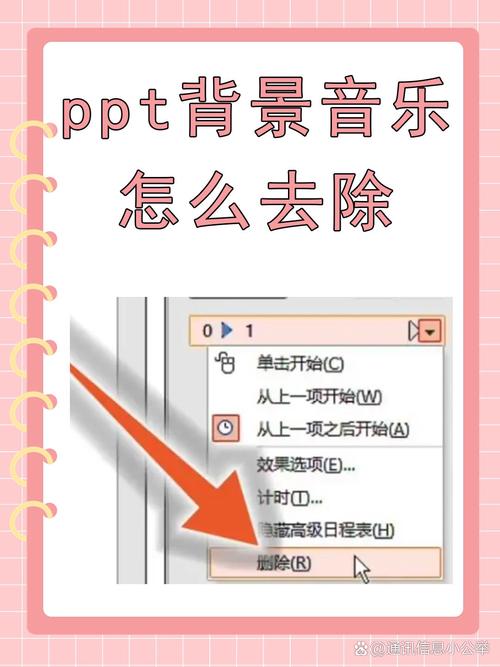 ppt的下载2026