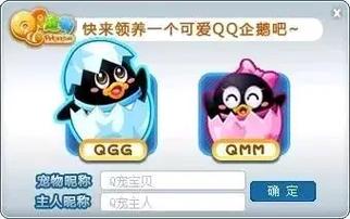 qq宠2026