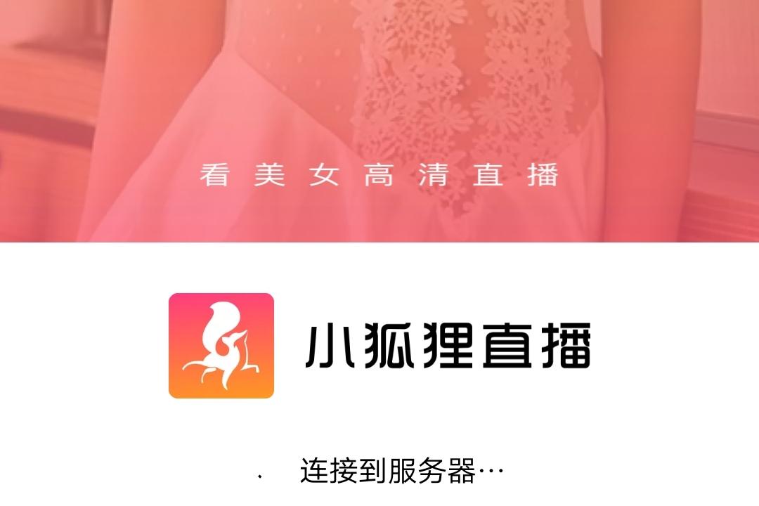 小狐狸2026