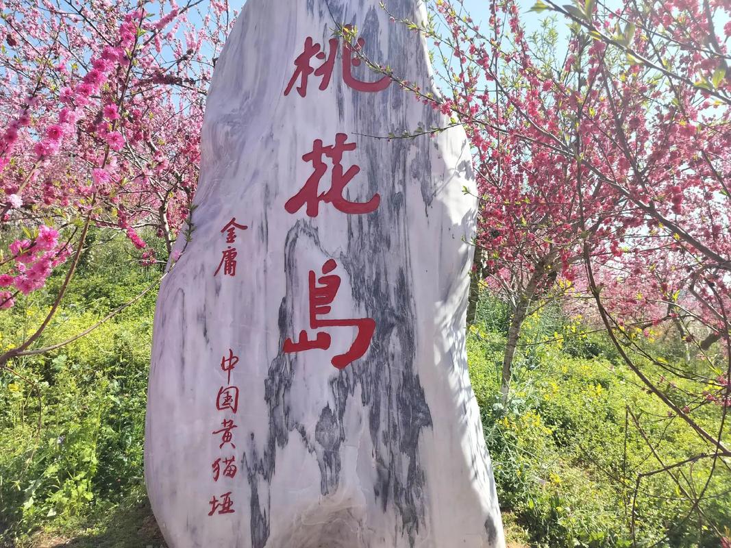 桃花岛视频2026