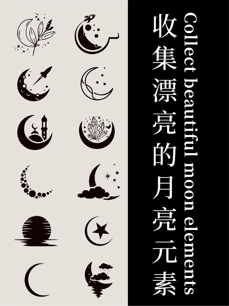 月亮视频2026