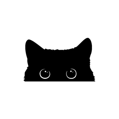 黑猫动漫下载2026