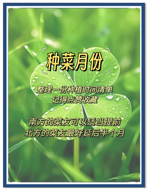 来了下载2026
